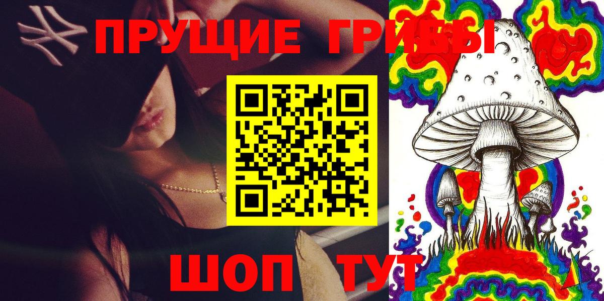Казань  Псилоцибиновые грибы Psilocybine cubensis  Вход с VPN 